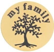 Memory lockets plate my family goud kleurig