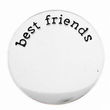 Memory plate best friends