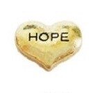 Memory lockets charm heart hope goudkleurig