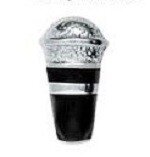 Memory lockets charm microphone