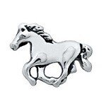 Memory lockets charm horse