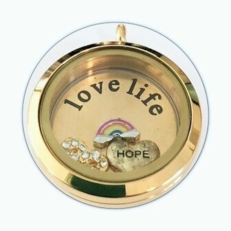 Complete Memory lockets medaillon twist goud