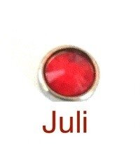 Memory lockets luxe birthstone juli