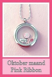 Complete Pink Ribbon memory locket RVS