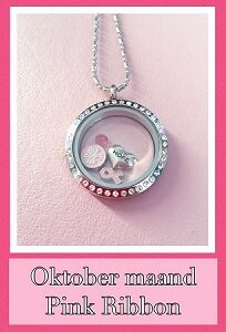 Complete Pink Ribbon memory locket RVS met strass 30mm.  Deze complete memory locket bevat: - memory locket met s