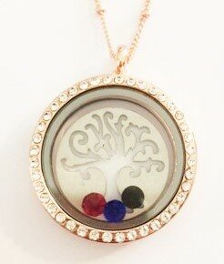 Complete RVS twist lifetree memory locket ros&eacute; strass 30mm