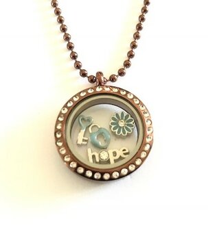 Complete 25mm RVS memory locket chocolade strass