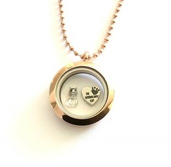 Complete 25mm RVS memory locket ros&eacute;-goud kleurig