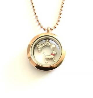 Complete 25mm RVS memory locket ros&eacute;-goud kleurig hond