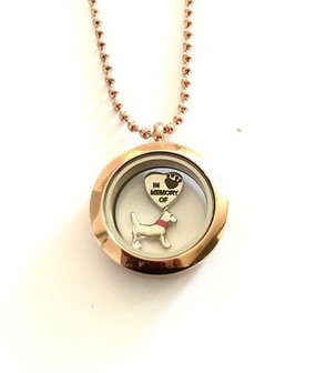 Complete 25mm RVS memory locket ros&eacute;-goud kleurig hond