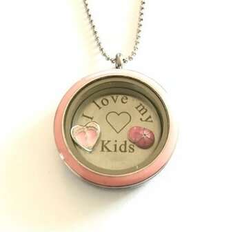 Complete 30mm RVS memory locket twist zilver kleurig met roze rand