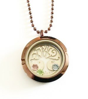 Complete 30mm RVS memory locket twist chocolade kleurig 