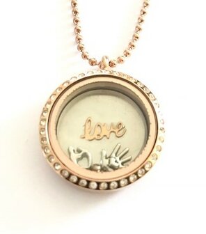 Complete 30mm RVS memory locket twist chocolade kleurig 