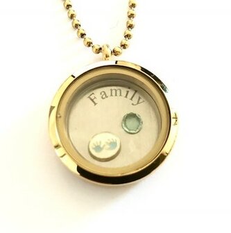 Complete 30mm RVS memory locket goud kleurig