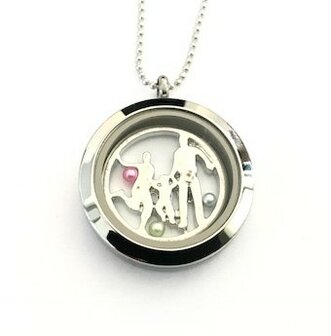 Complete 30mm RVS memory locket zilver kleurig