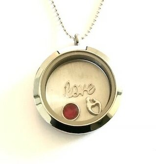 Complete 30mm RVS memory locket zilver kleurig