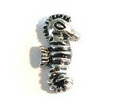 Memory lockets charm sea horse